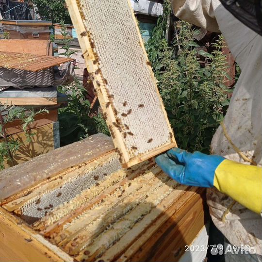 Мёд натуральный,вкусный