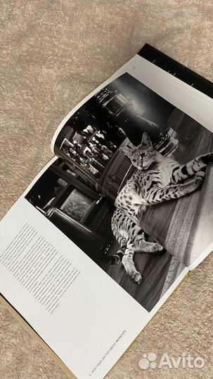 Энциклопедия Кошки