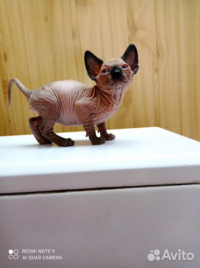 Канадский сфинкс