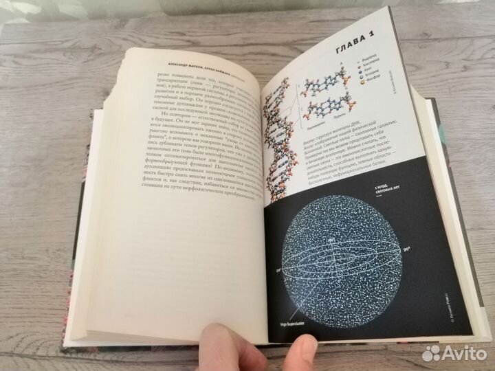 Эволюция. Классические идеи в свете новых открытий