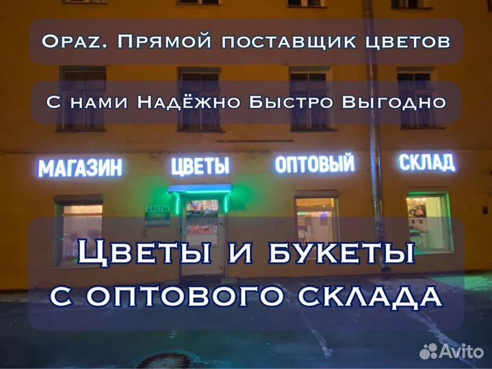 Метровые розы Розы высокие 150 см Розы 1,5 метра