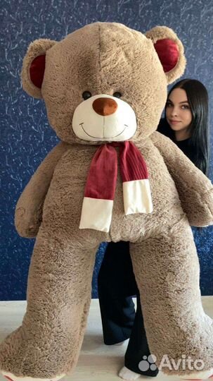 Плюшевые мишки от 90см до 240см
