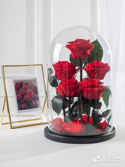 Вечная роза в колбе