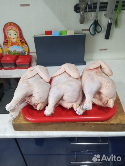 Мясо свинины и птицы