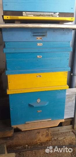 Улей для пчел бу