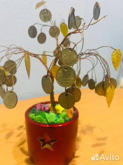 Денежное дерево