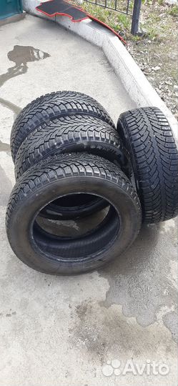 Formula Ice 205/60 R16 96T