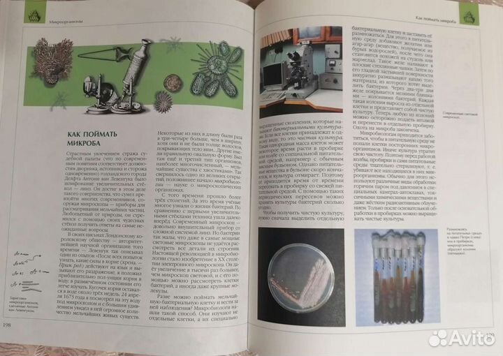 Энциклопедия Биология