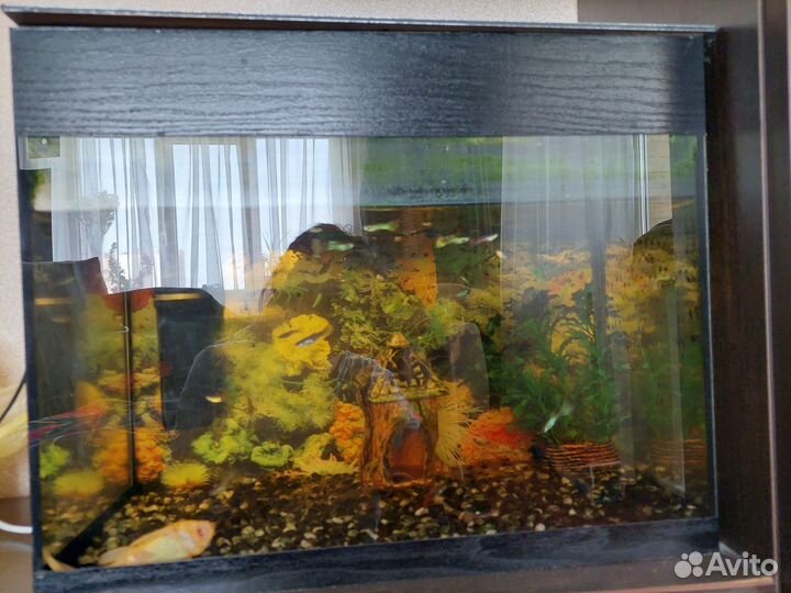Аквариум с рыбками бу