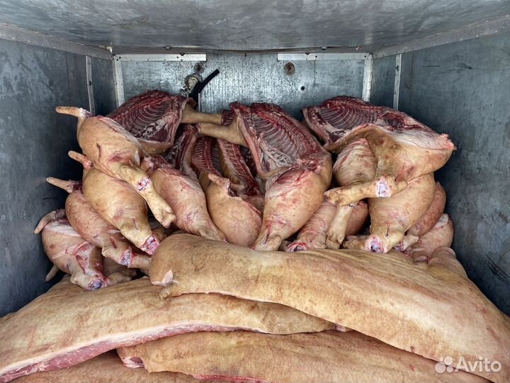 Свинина полутуши