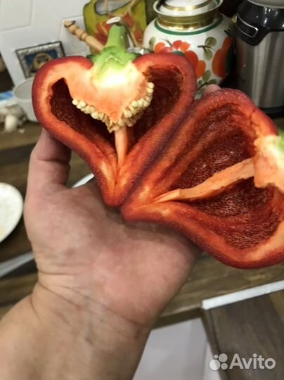 Перец Леся красный