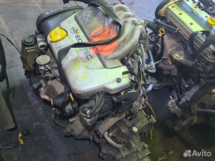 Опель вектра в x16xeL двигатель