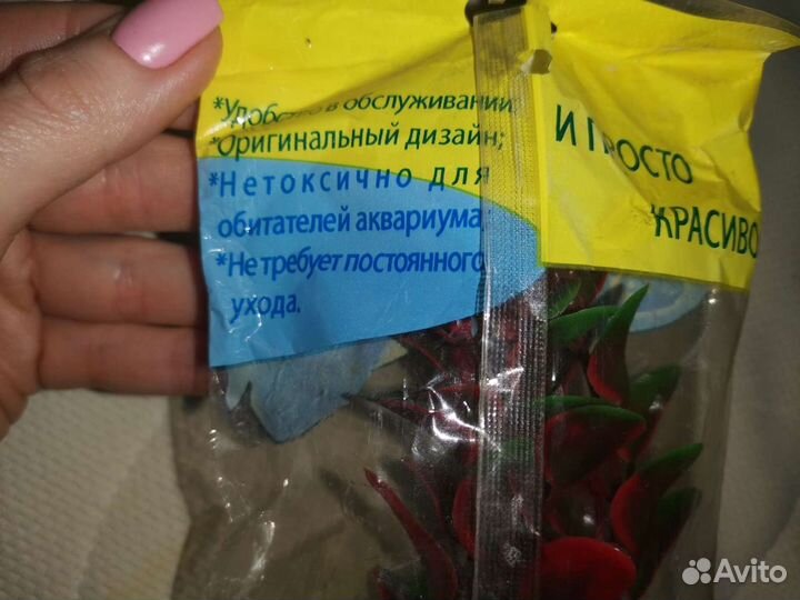 Аквариумные растения