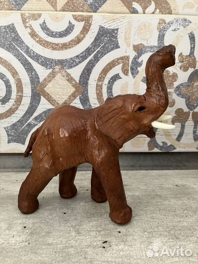 Слон, Бегемот