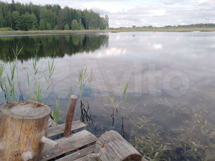 Участок 31 га (ИЖС)