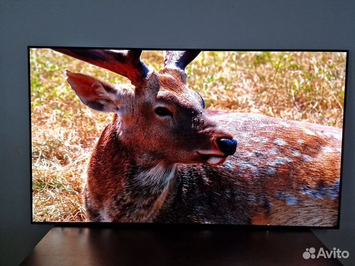 Телевизор LG 65 oled C1 rla