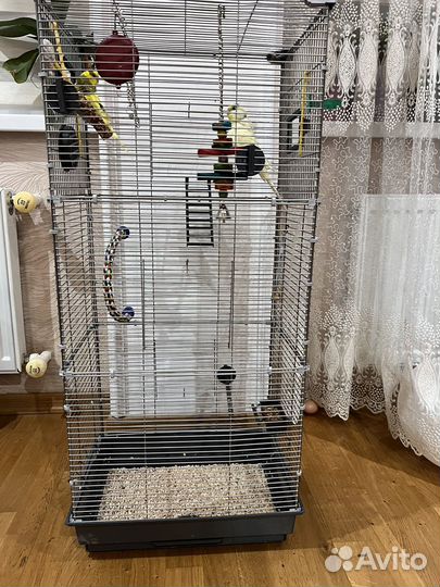 Продам клетку с попугаями