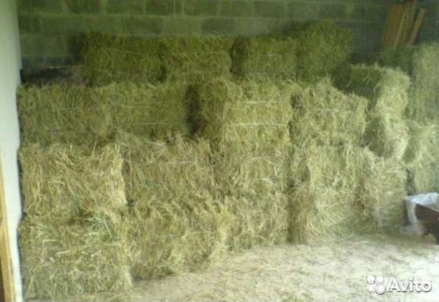 Сено+ пшеница