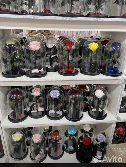 Цветы розы с доставкой