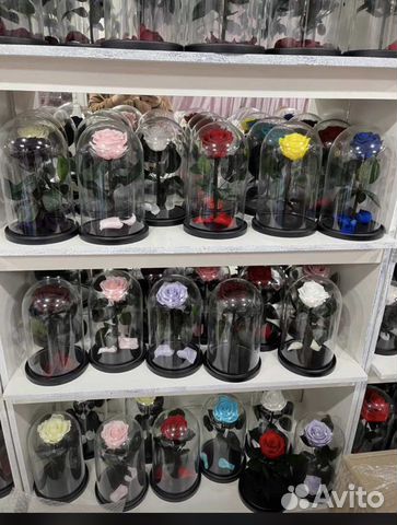 Цветы розы с доставкой