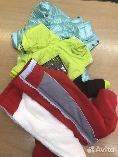 Одежда для собак