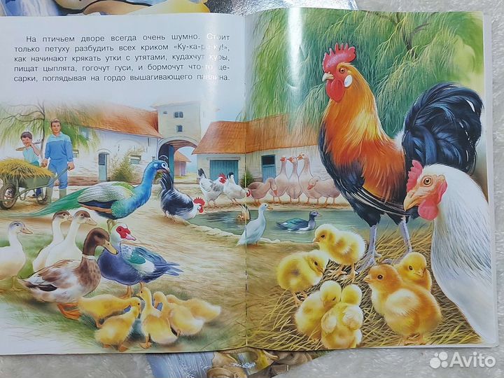 Ирина Гурина Ежик Гоша и другие книги