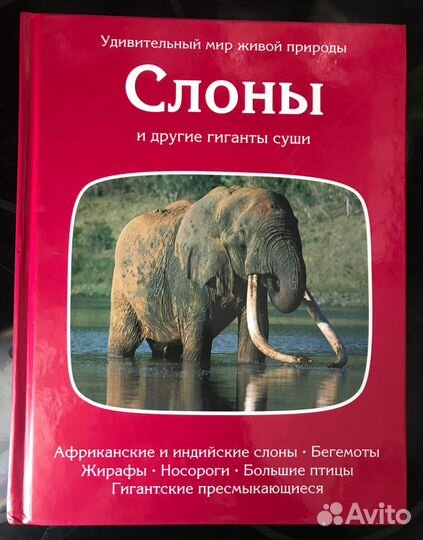 Слоны и обезьяны.96-97 г. Доставка бесплатно