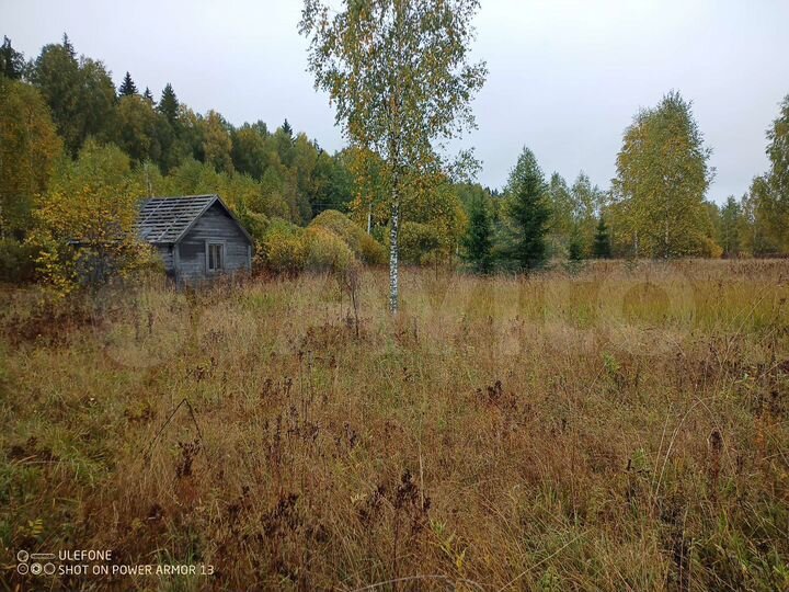 Участок 45 сот. (ИЖС)