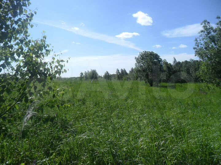 Участок 30 сот. (СНТ, ДНП)