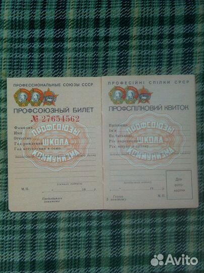 Профсоюзный Билет