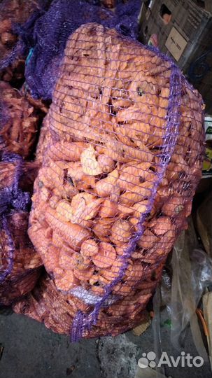 Морковь на корм лом