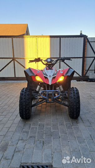 Квадроцикл motoland 250s