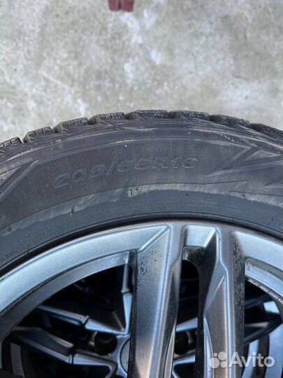 Nexen Winguard 205/55