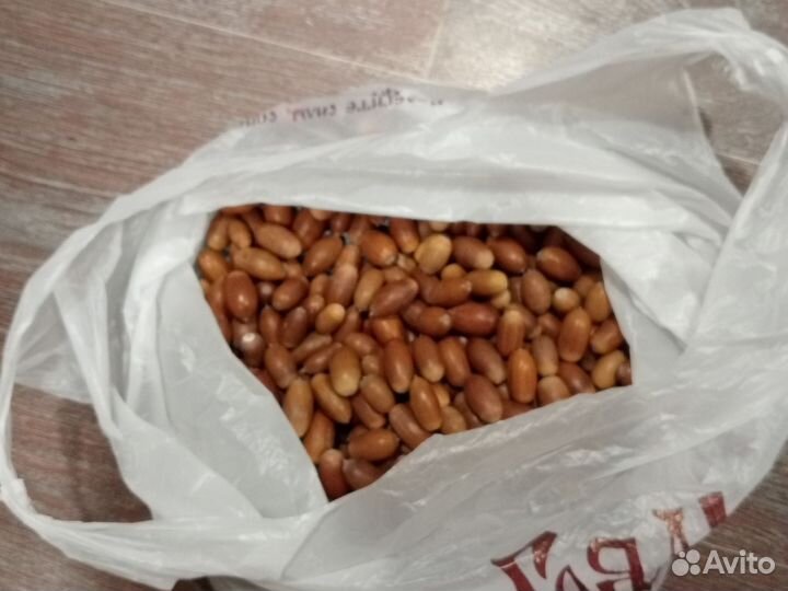 Жолуди отборные