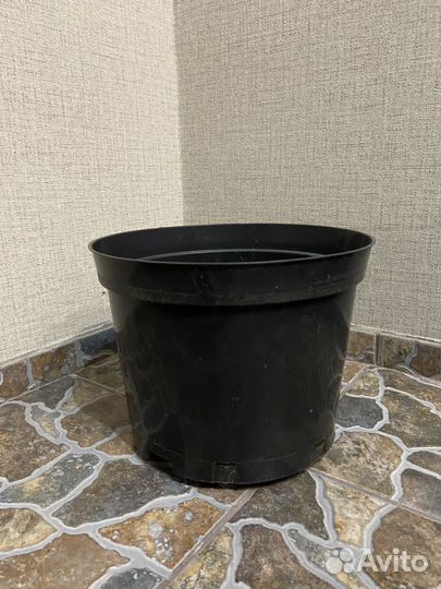 Горшки для саженцев