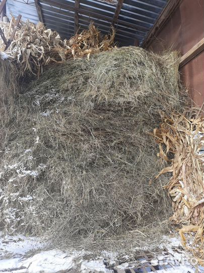 Сено луговое