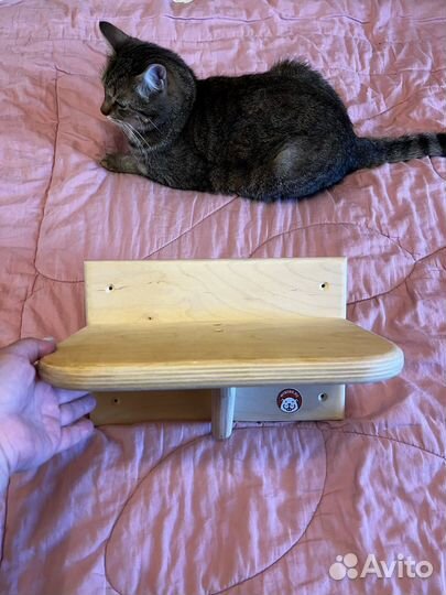 Полочки и когтеточка для кошек Мыбобры