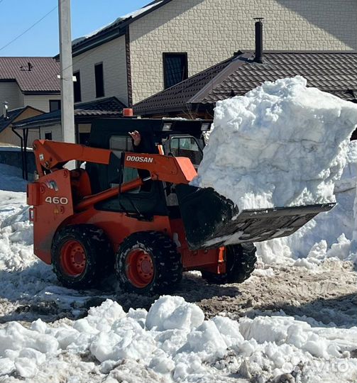 Услуги мини погрузчика bobcat