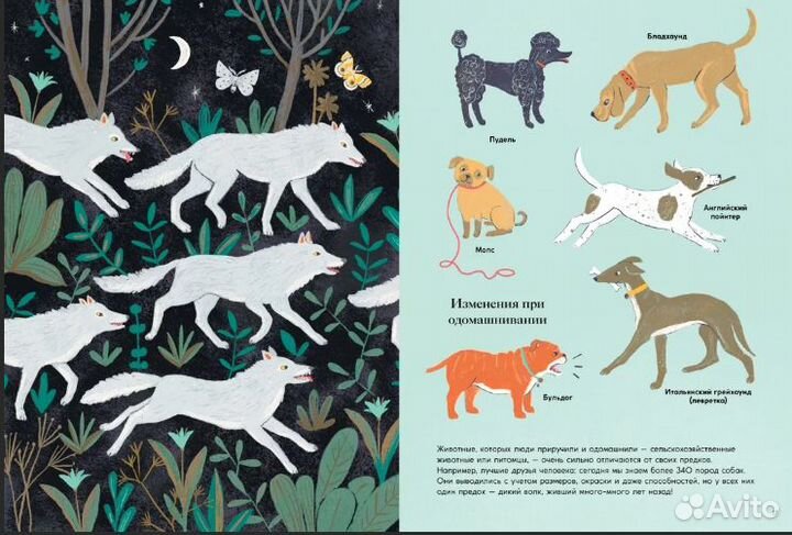 Физика для малышей Главное чудо света