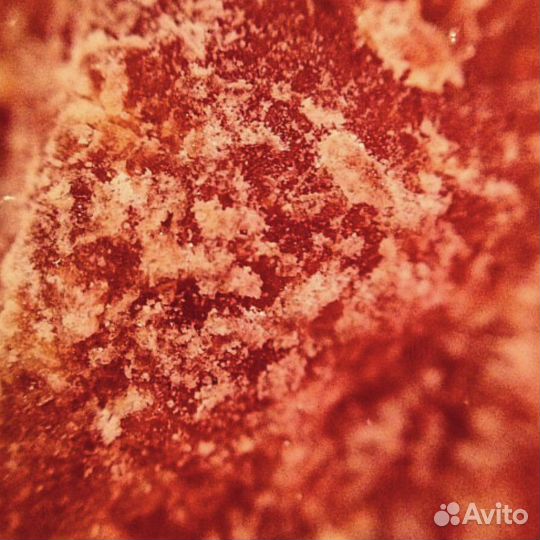 Макрообъектив для смартфона