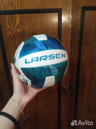 Волейбольный мяч larsen