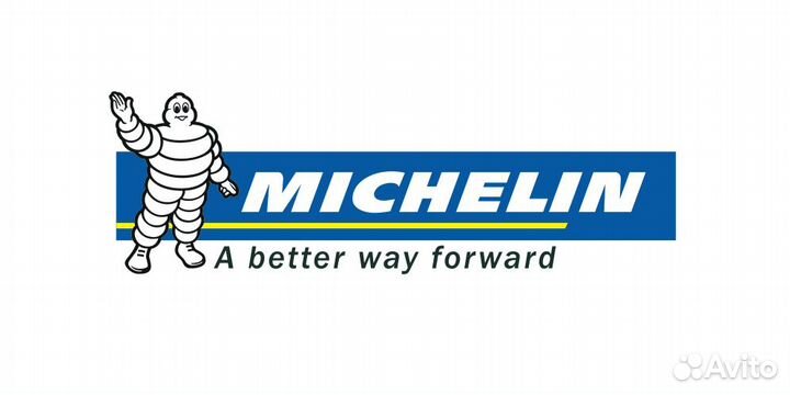 Michelin FM020578 ремень грм комплект