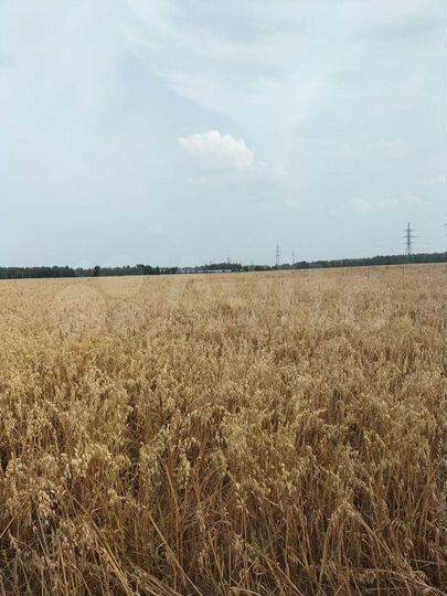 Участок 9,7 га (СНТ, ДНП)