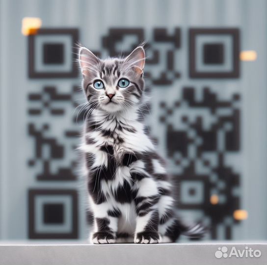 Создание креативных QR-кодов