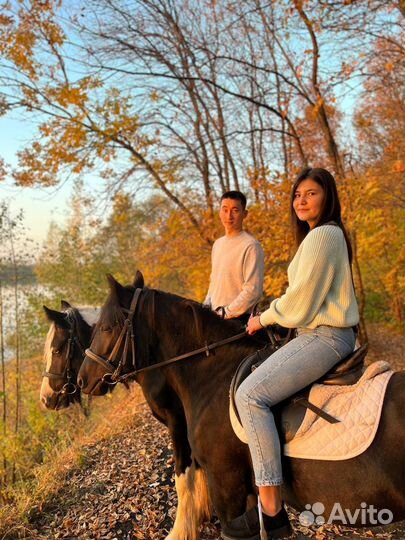 Конные прогулки