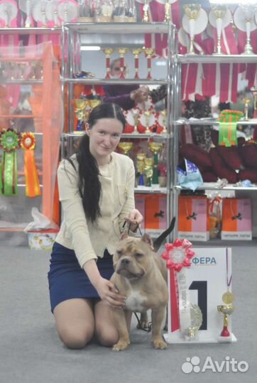 Профессиональный хендлер