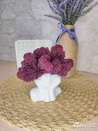 Кашпо Майя со стабилизированным мхом