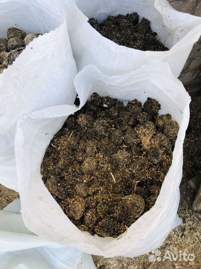 Навоз конский