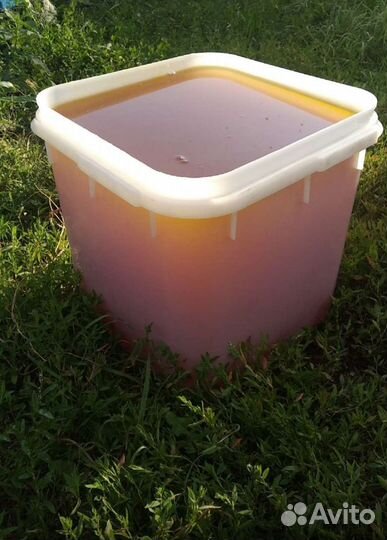 Мёд подсолнечный