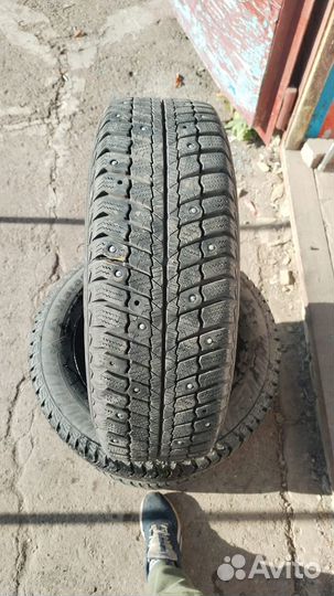 Matador MP 50 Sibir Ice 175/70 R13